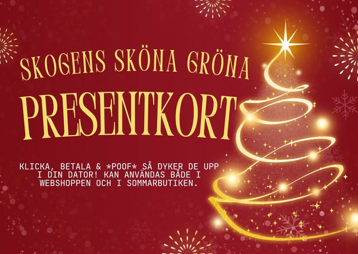 Den smarta julklappen, som ALLTID hinner fram i tid