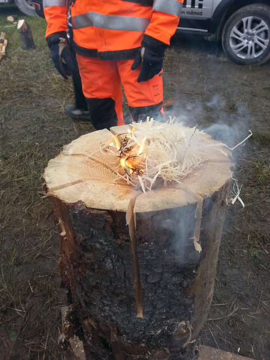 Bullen 1
