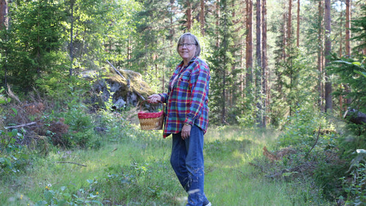Är det höst nu ? Inte än, men jag inser att jag inte hunnit lägga upp några bloggar i sommar.